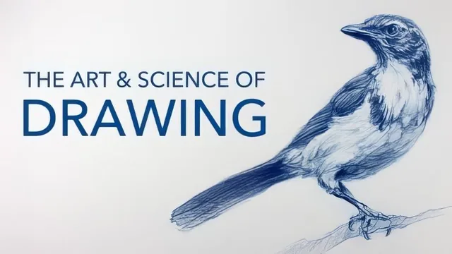 Basic Skills / Getting Started with Drawing thumbnail
